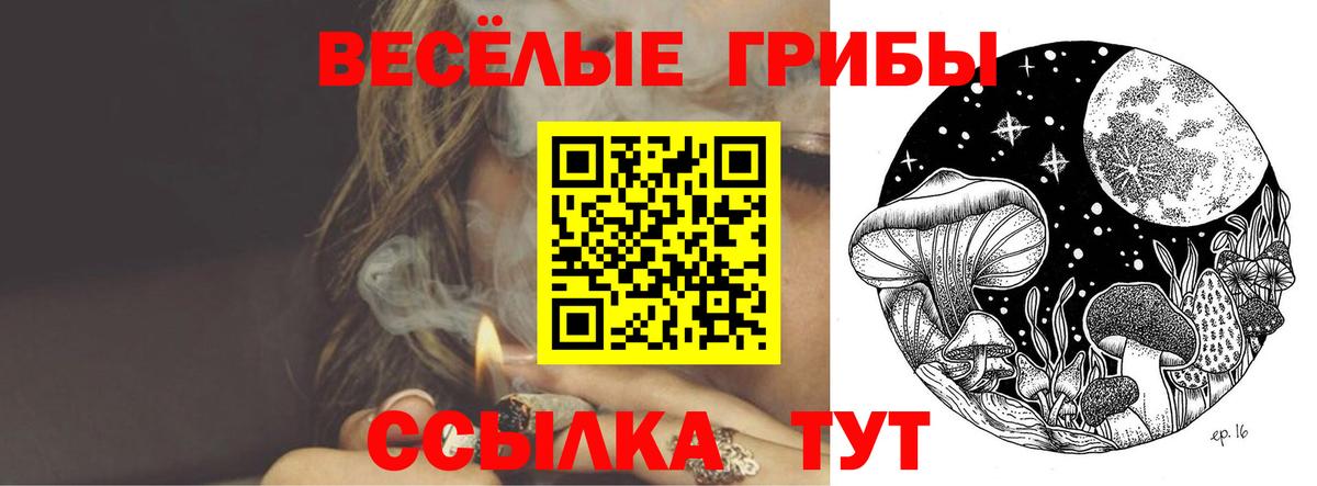 Псилоцибиновые грибы ЛСД Кубинка